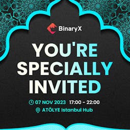 BinaryX.pro Logo